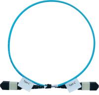 Softing MM_MPO_REFCORD_C - Патчкорд эталонный MPO (тип C, unpinned/unpinned) 0,5м