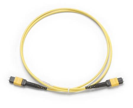 Fluke Networks	FL-TRC-SM-MPOAPC-PP-A Патч корд SM TRC, MPO-APC/MPO-APC, Pinned/Pinned, Type A, 1 м